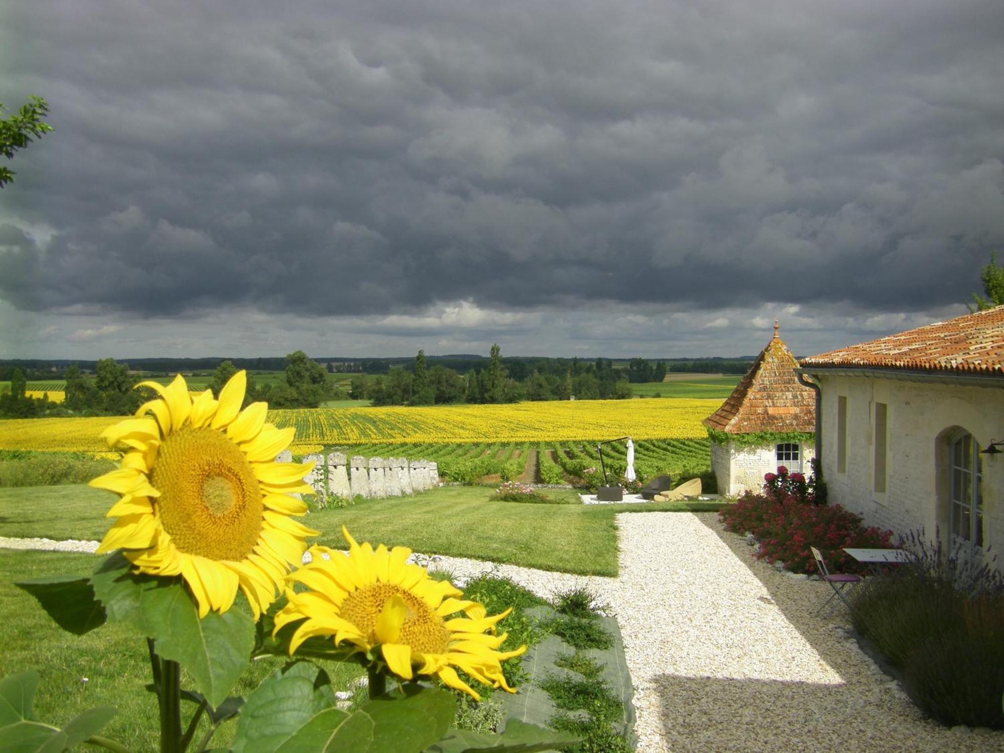 Chambre D'Hotes Clos Des Pierres Blanches Brie-sous-Archiac Exteriör bild